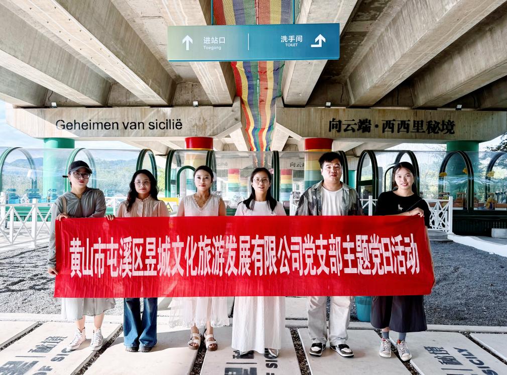 實地研學促提升&nbsp;謀劃發展啟新程—昱城文旅公司黨支部開展“循‘雙村’賦能跡